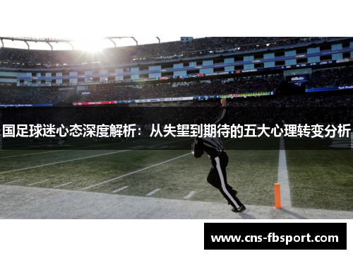 国足球迷心态深度解析：从失望到期待的五大心理转变分析