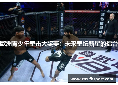 欧洲青少年拳击大奖赛:未来拳坛新星的擂台 欧洲青少年拳击大奖赛:未来拳坛新星的擂台