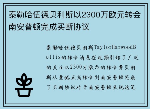 泰勒哈伍德贝利斯以2300万欧元转会南安普顿完成买断协议