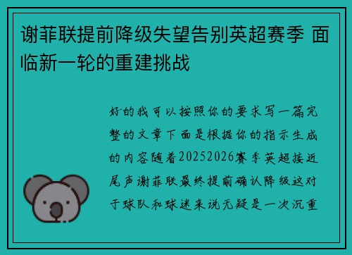谢菲联提前降级失望告别英超赛季 面临新一轮的重建挑战